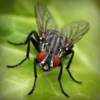 /album/tulosecti/photolia-a01-jpg/