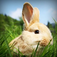 /album/tulosecti/photolia-a03-jpg/