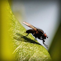 /album/tulosecti/photolia-a04-jpg/