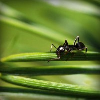 /album/tulosecti/photolia-a05-jpg/