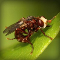 /album/tulosecti/photolia-a06-jpg/