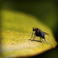 /album/tulosecti/photolia-a07-jpg/