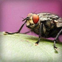 /album/tulosecti/photolia-a08-jpg/